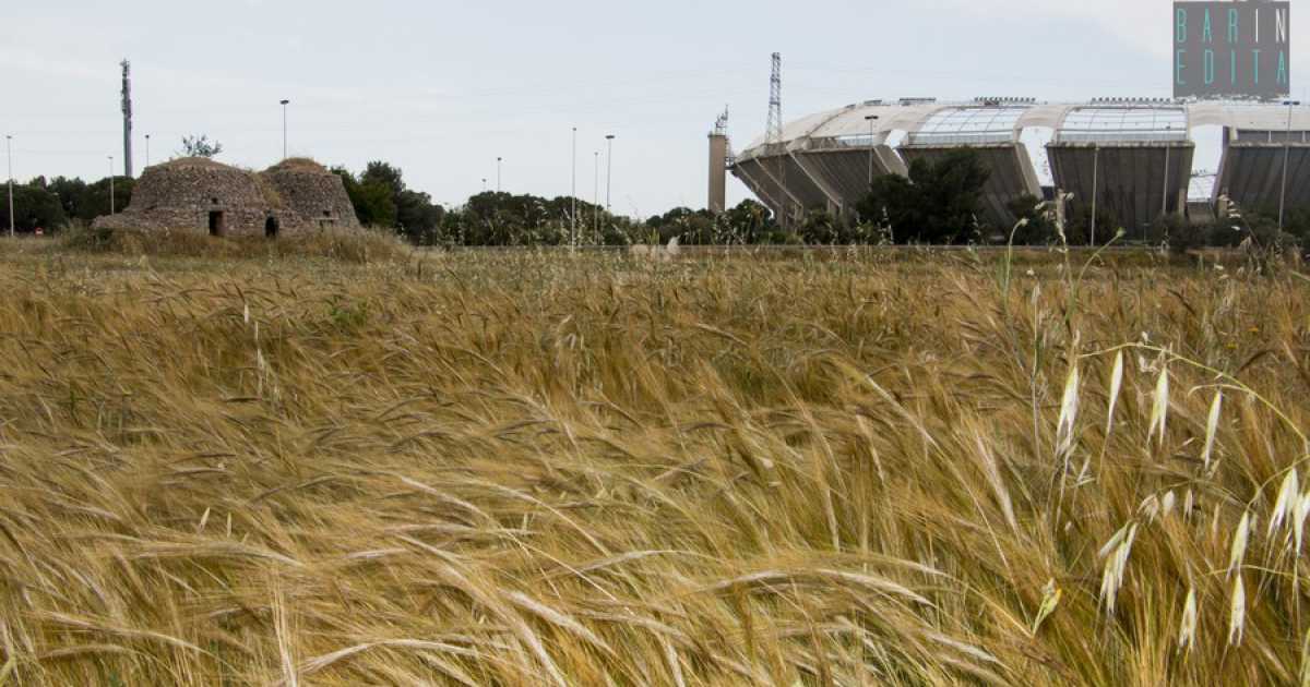 Bari calcio: ingresso gratuito allo stadio per i tifosi con disabilit�